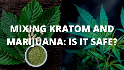 Kratom vs. Cannabis